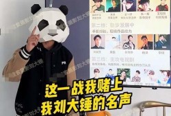 大锤爆料最新视频,热点事件背后的惊人真相